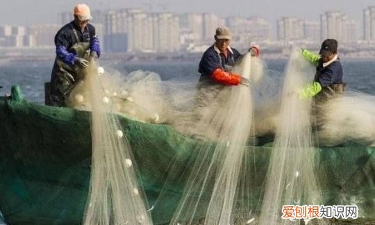 如何撒渔网，初学者手抛网教程图解视频