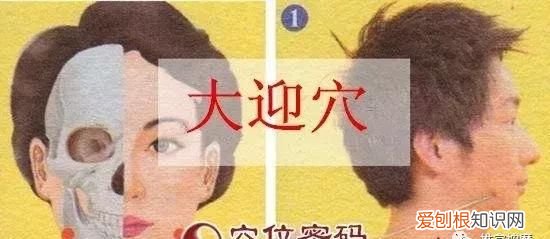 大迎的功效与作用及禁忌症,大迎穴的妙用