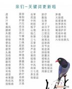 脱发食疗吃什么好得快