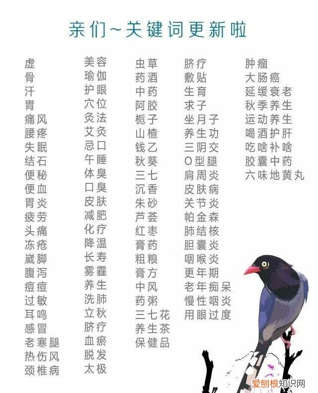 脱发食疗吃什么好得快