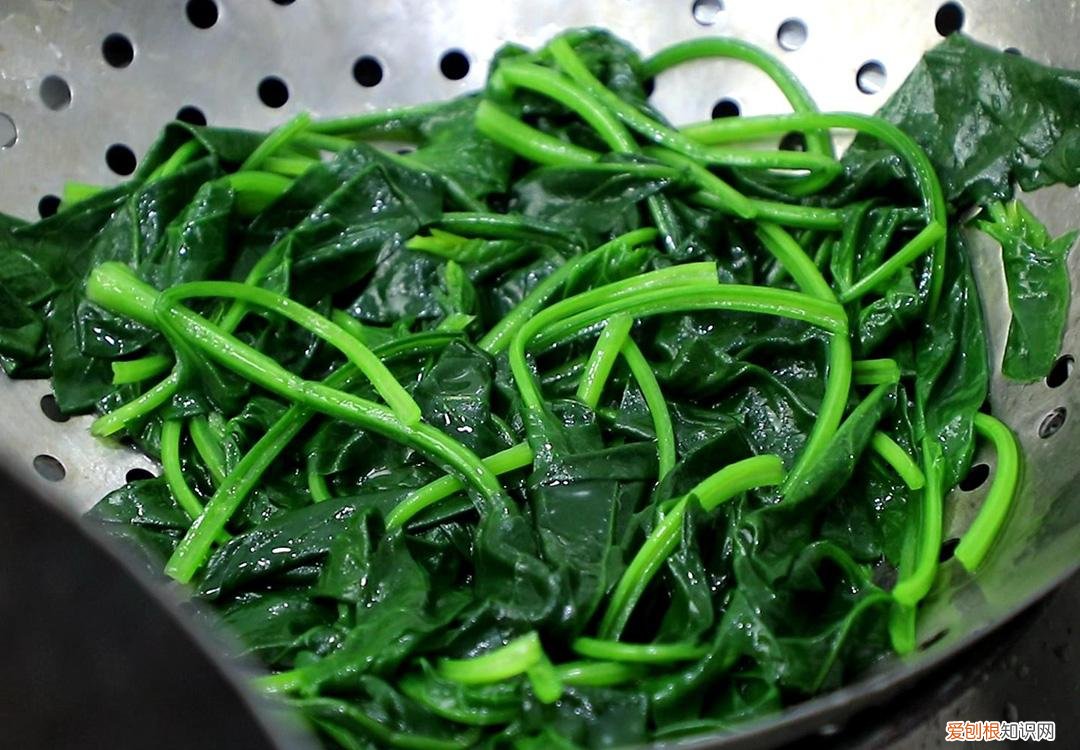 西红柿可以减肥吗