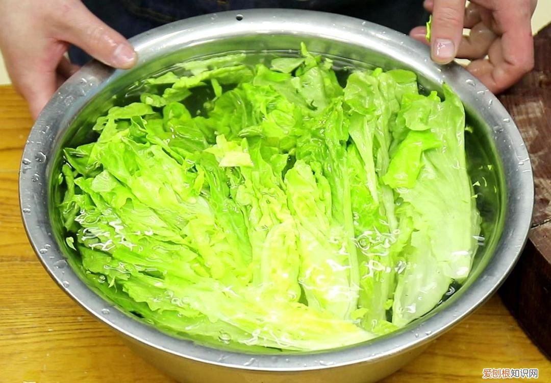 西红柿可以减肥吗