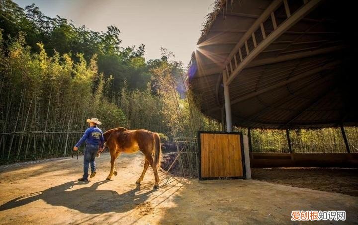 珠海御温泉度假村订房
