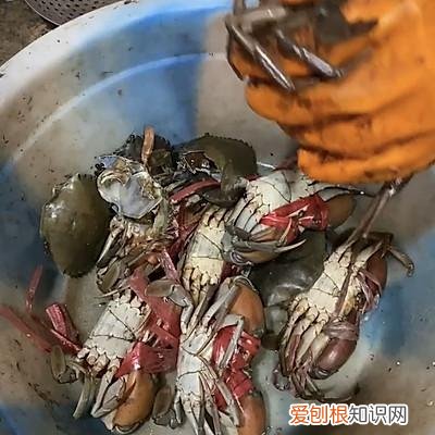 家常香辣蟹的做法