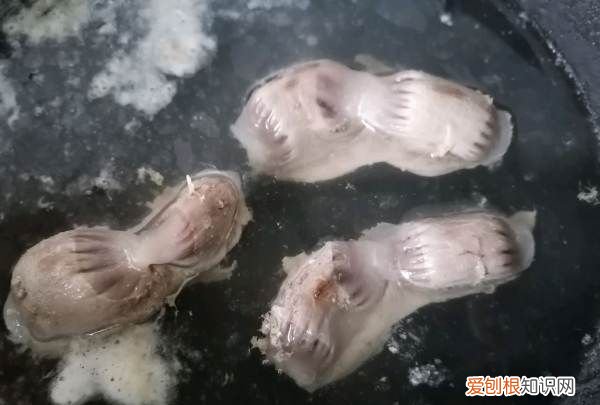 鸭胗怎么炒最好吃，鸭肫怎么炒又好吃又嫩