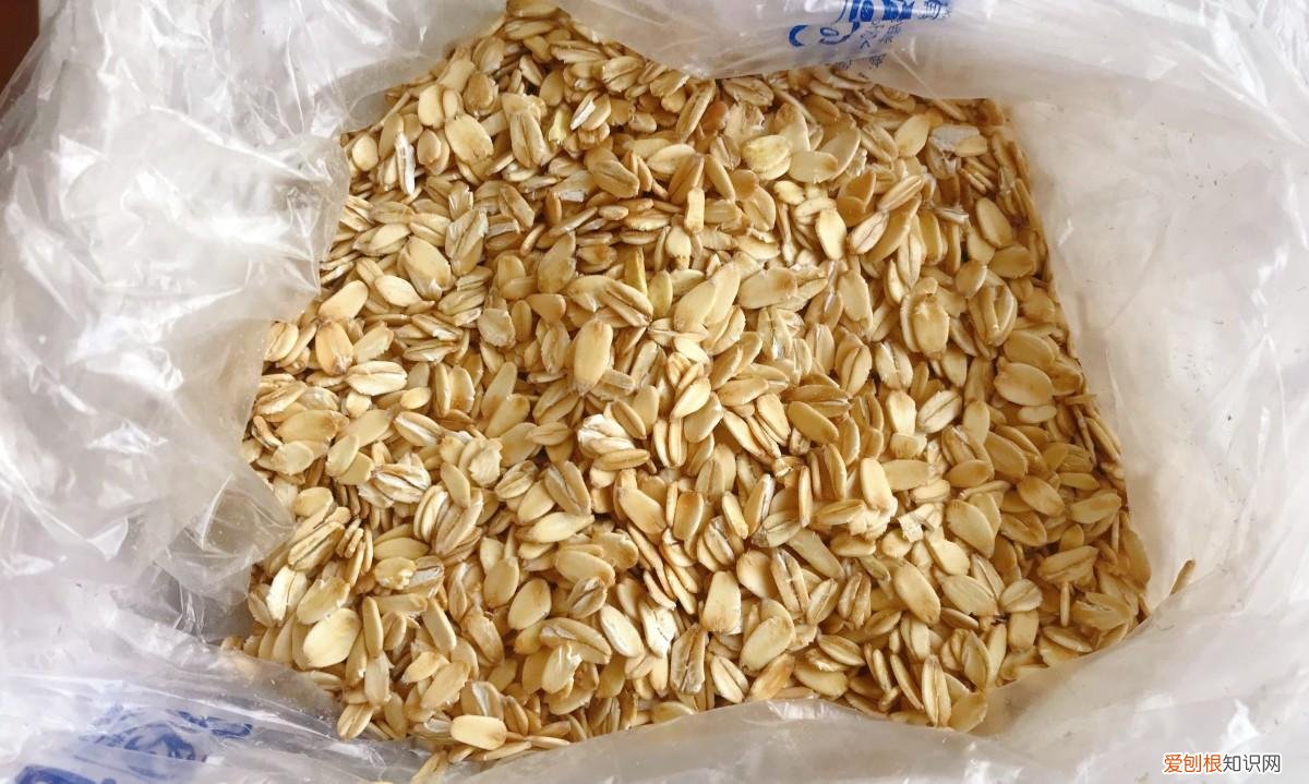 燕麦片怎么煮好吃又营养