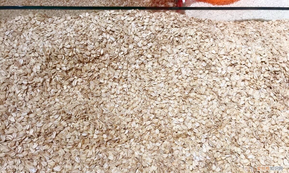 燕麦片怎么煮好吃又营养