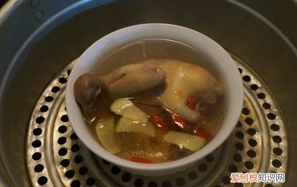 鸽子汤做法，滋补鸽子汤的做法