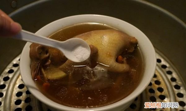 鸽子汤做法，滋补鸽子汤的做法