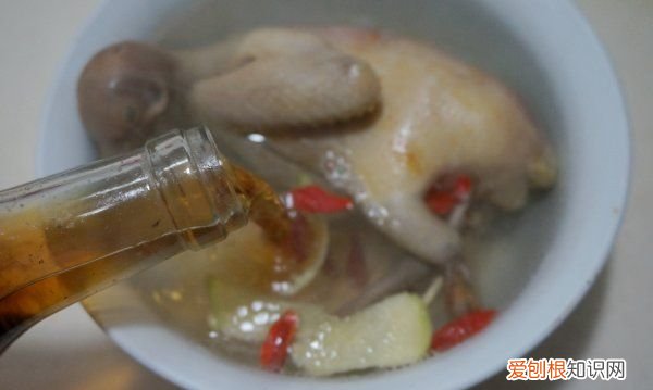 鸽子汤做法，滋补鸽子汤的做法