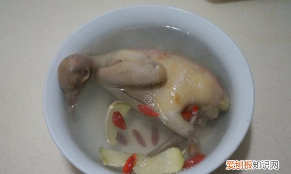 鸽子汤做法，滋补鸽子汤的做法