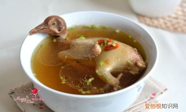 鸽子汤做法，滋补鸽子汤的做法