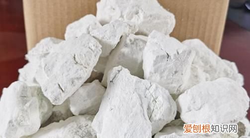 石灰粉能撒菜叶上,石灰可以撒在菜叶上吗