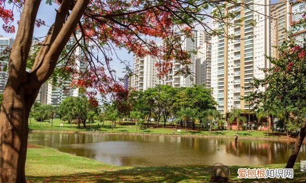 二级警监是个什么职位，二级警员属于什么警衔级别的