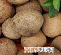 印度干罗贝是什么