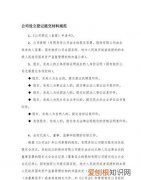 企业登记机关对提交的材料实行什么审查