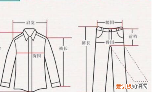 80的裤子是多少尺码,80身高的穿多长的裤子