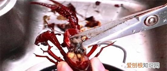 小龙虾的虾黄到底能不能食用