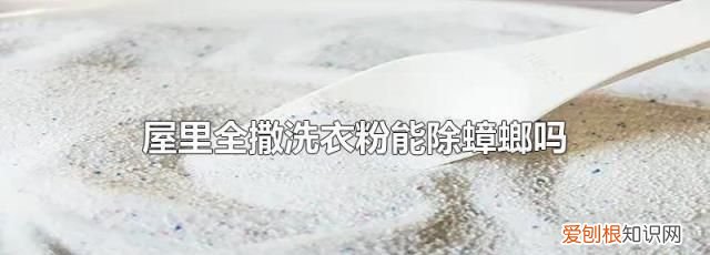 屋里全撒洗衣粉能除蟑螂吗，大蒜和洗衣粉混合能杀蟑螂