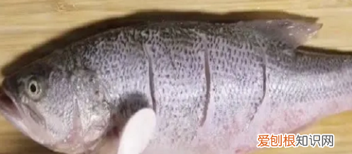 清蒸鲈鱼的做法是什么，清蒸鲈鱼怎么做好吃又简单