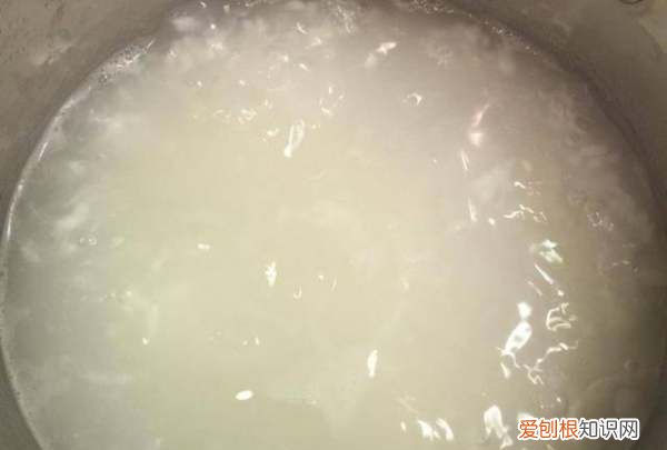 素高汤的做法及配方,高汤的熬制方法及配料