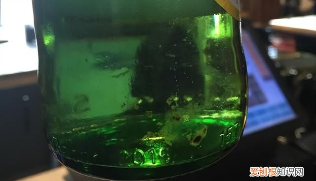 过期半年罐装啤酒还能喝么