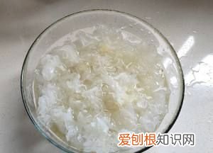 白木耳不泡可以直接煮吗,白木耳为什么煮不烂怎么才能煮烂