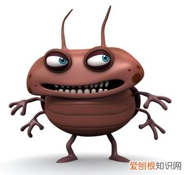 灭蟑螂的小妙招,餐馆怎么灭蟑螂最安全饭店灭蟑螂有什么小妙招