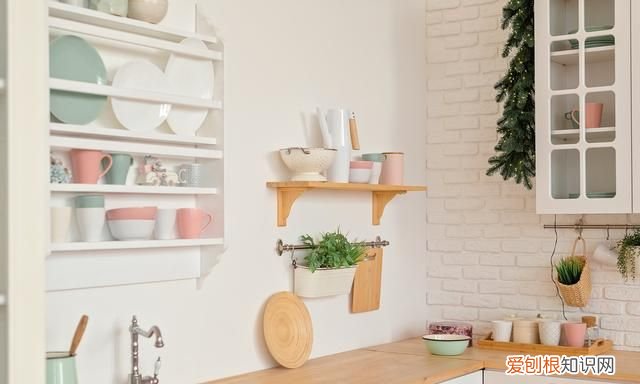 蟑螂能飞多高,为什么有翅膀却喜欢跑来跑去