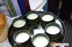 马奶子的解释，为什么一般不喝马奶