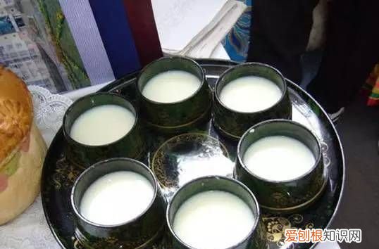 马奶子的解释，为什么一般不喝马奶