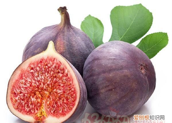 无花果有毒，1个无花果的热量是多少