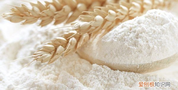 谷元粉是什么，谷朊粉是什么原料做成的