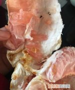 柚子里面长黄胶能吃吗，红柚子里边有黄色结晶是什么