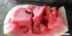 西瓜肉比较硬是什么原因，西瓜里面有僵块是什么原因