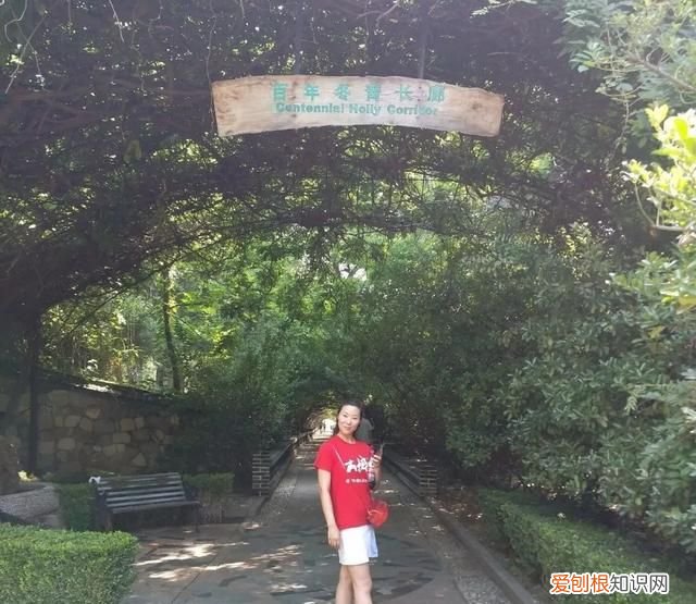 仙境海岸旅游推介