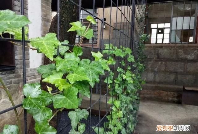 仙境海岸旅游推介