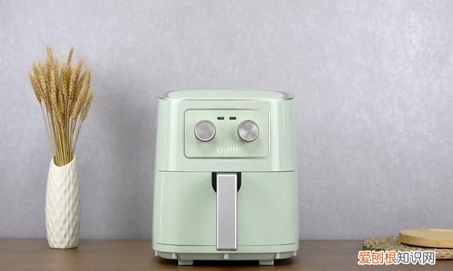 gipp多功能空气炸锅45升 居派空气炸锅测评