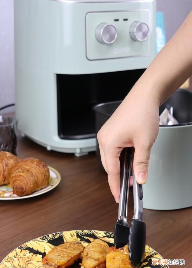 gipp多功能空气炸锅45升 居派空气炸锅测评