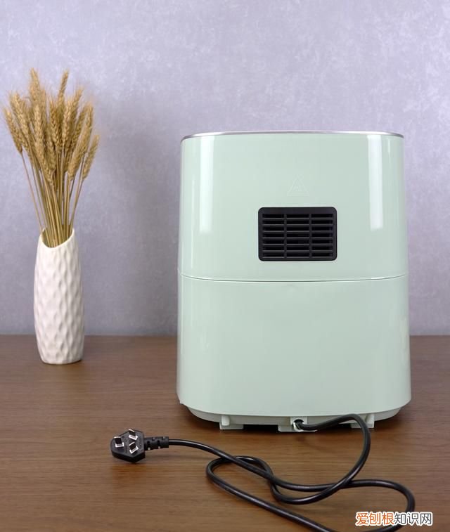 gipp多功能空气炸锅45升 居派空气炸锅测评