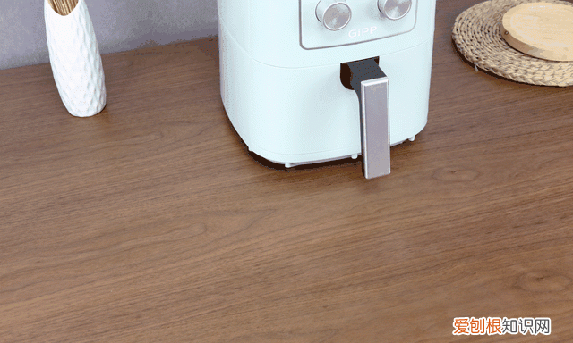 gipp多功能空气炸锅45升 居派空气炸锅测评