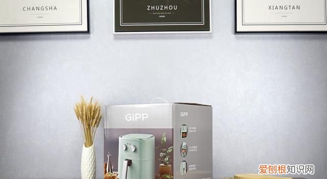 gipp多功能空气炸锅45升 居派空气炸锅测评