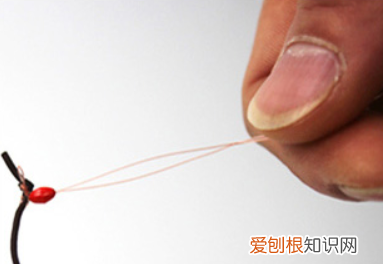 鱼轮怎么安装鱼线,怎样安装滑轮省力