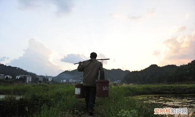 教你做一道美容汤怎么做
