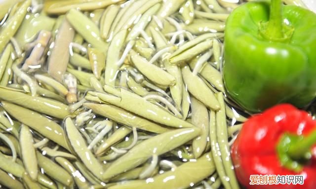 教你做一道美容汤怎么做