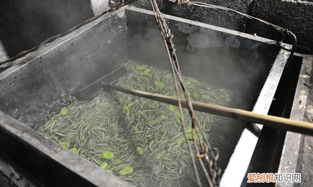 教你做一道美容汤怎么做