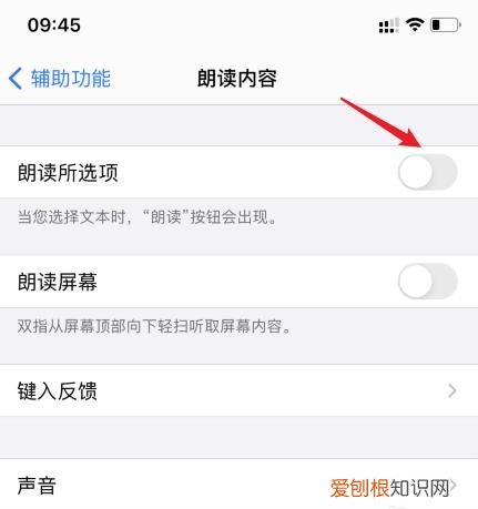 苹果读字功能怎么设置,苹果12怎么设置嘿siri来电读名