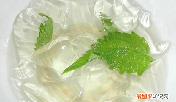 白凉粉是什么原料,白凉粉是什么组成的