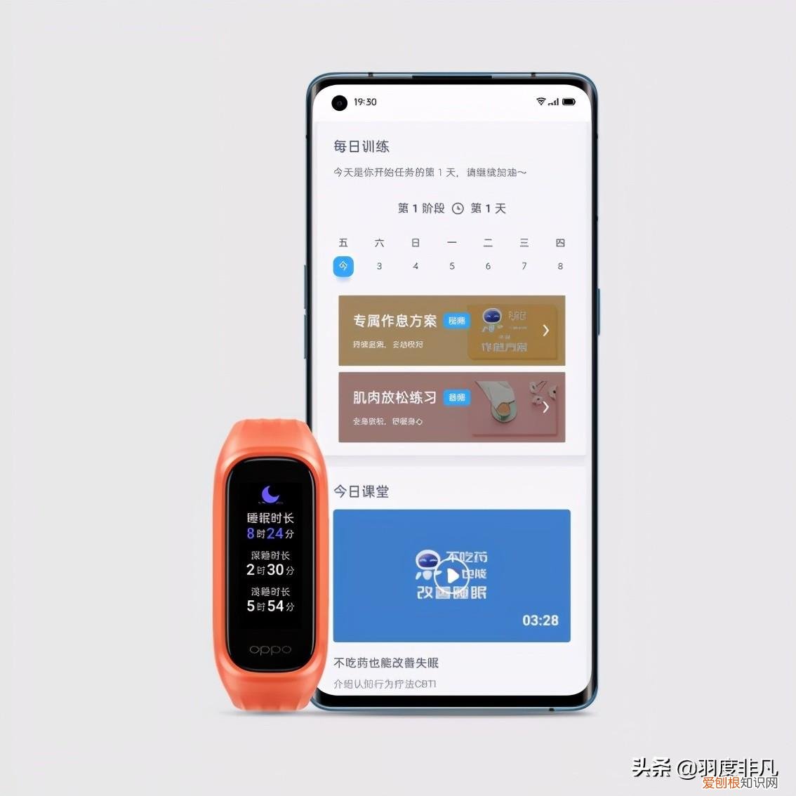 OPPO手环活力版即将开售