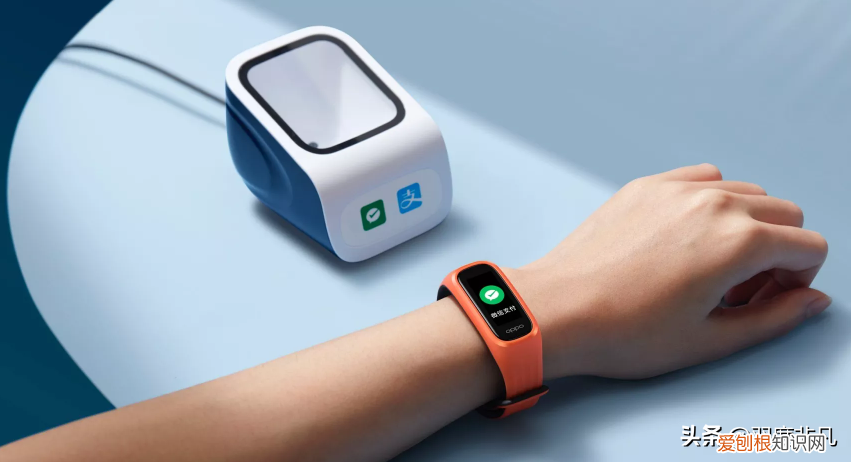OPPO手环活力版即将开售